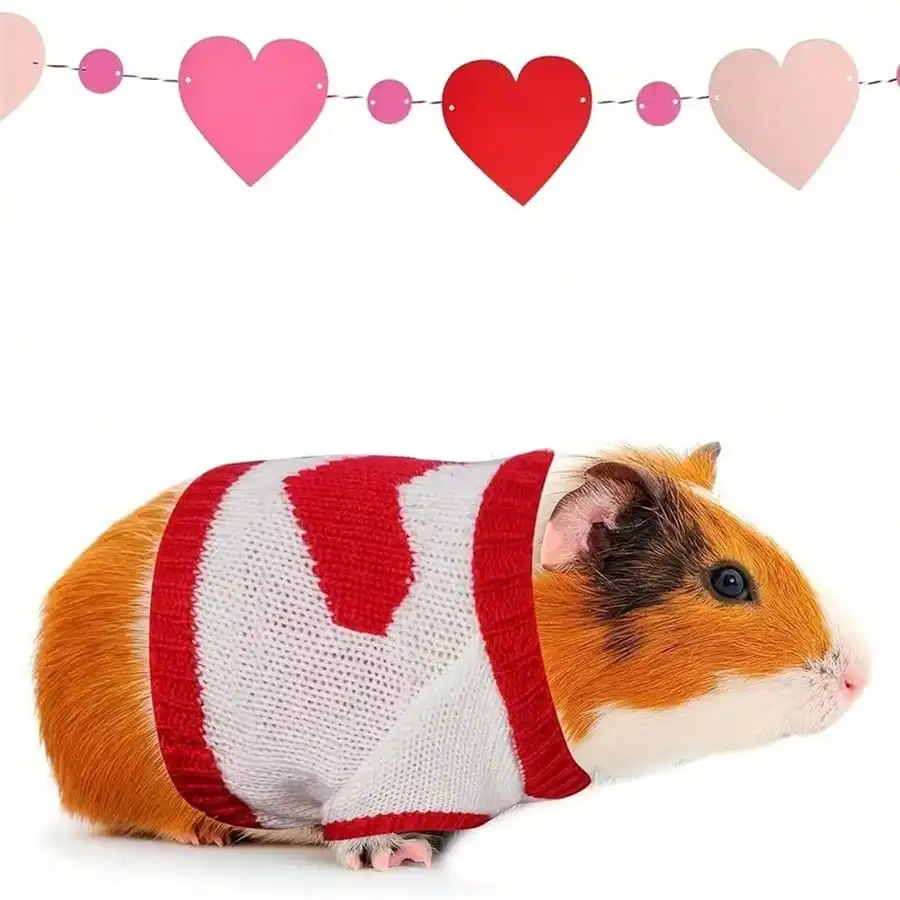 4Pcs Small Animal Sweaters Soft Warm Clothes - Image 11