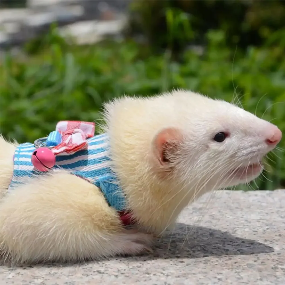 Pet Chest Strap Striped Hamster, Rabbit, Ferret Bow-knot Harness Vest Leash - Image 2