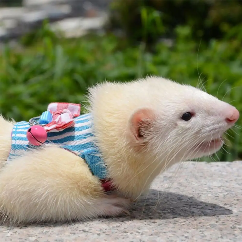 Pet Chest Strap Striped Hamster, Rabbit, Ferret Bow-knot Harness Vest Leash - Image 12