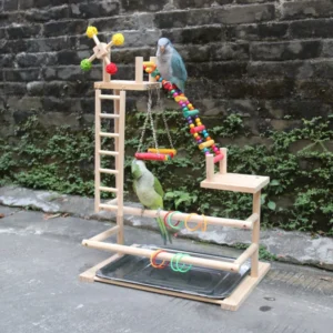 Bird Wooden Playground Perch Exercise Gym Stand